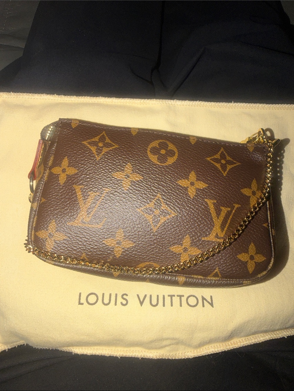 Preloved Louis Vuitton Monogram Canvas Mini Pochette in Brown and Gold